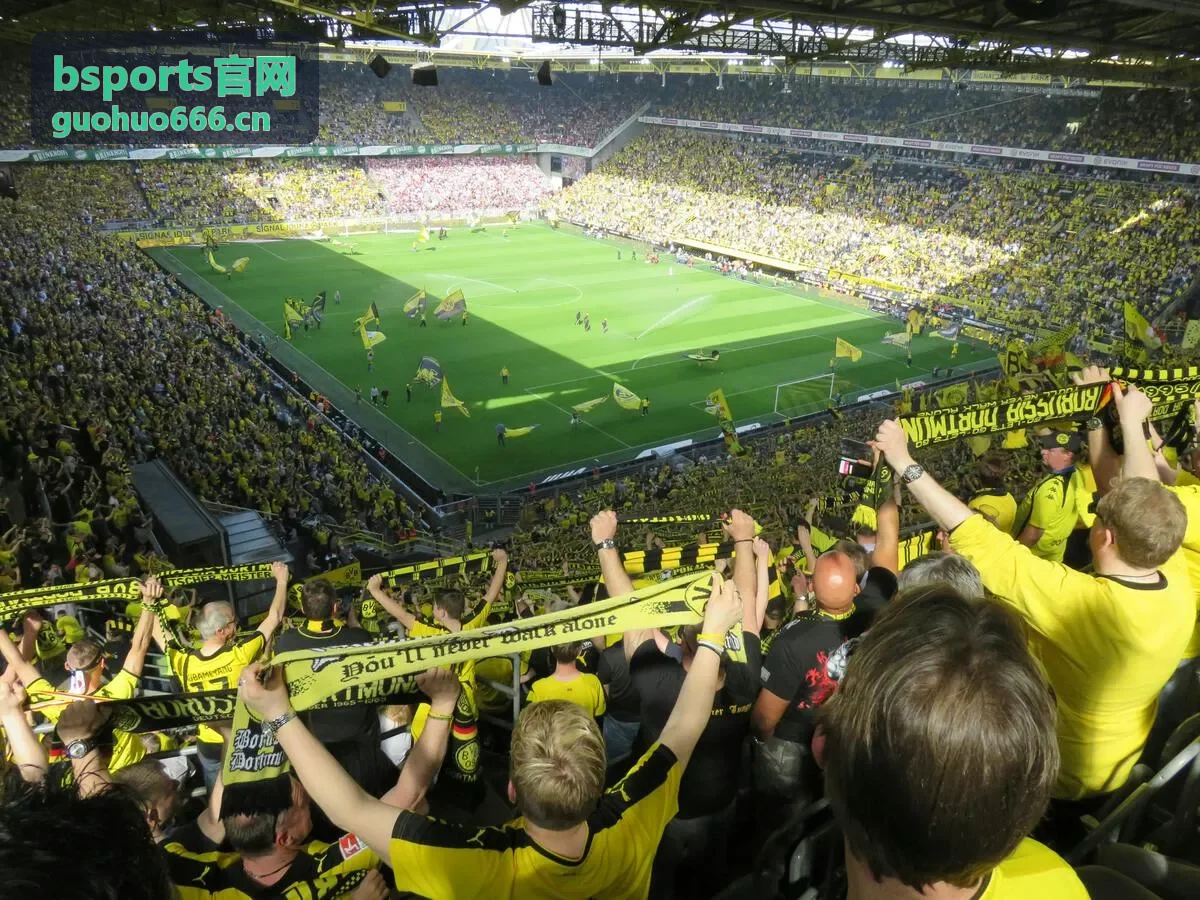 bsports运动数据分析封面