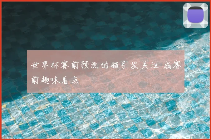 世界杯赛前预测的猫引发关注 成赛前趣味看点