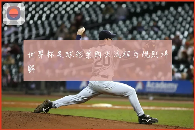 世界杯足球彩票购买流程与规则详解