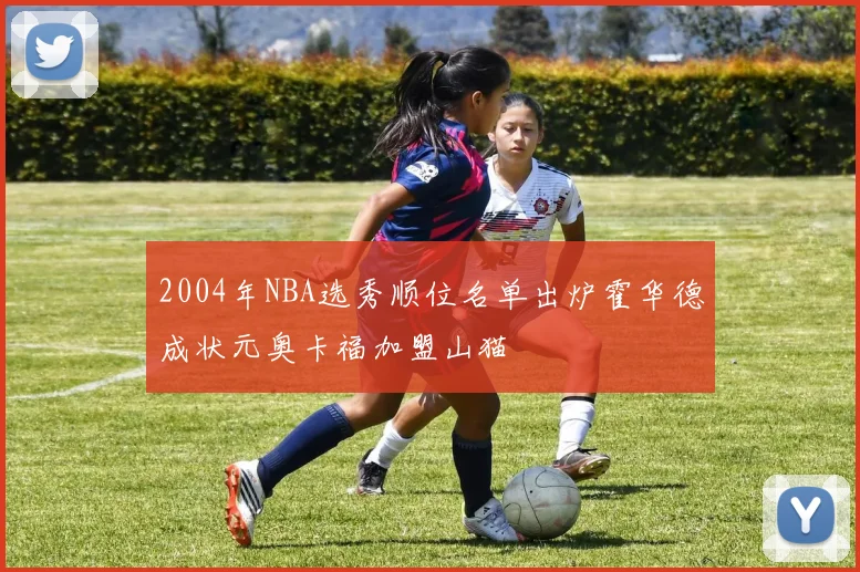2004年NBA选秀顺位名单出炉霍华德成状元奥卡福加盟山猫