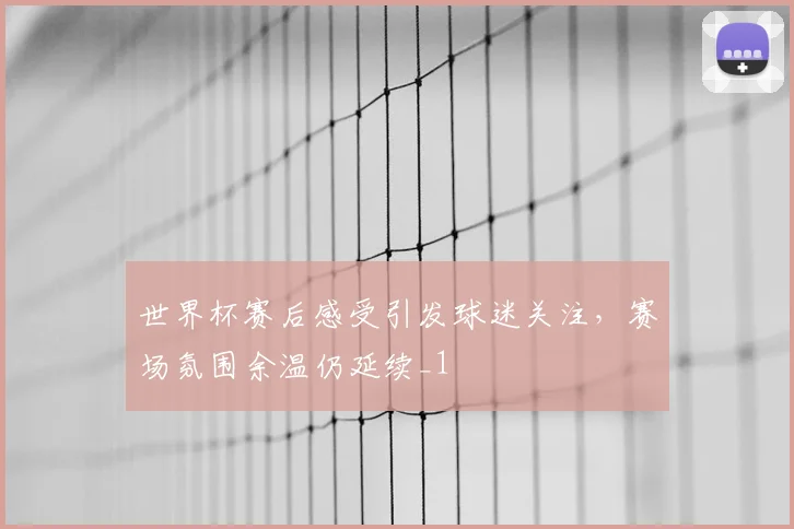 世界杯赛后感受引发球迷关注,赛场氛围余温仍延续_1