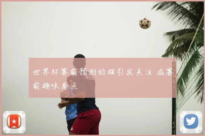 世界杯赛前预测的猫引发关注 成赛前趣味看点