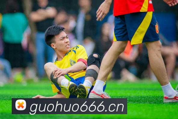 开云(中国)Kaiyun·官方网站 - 登录入口平台生态图